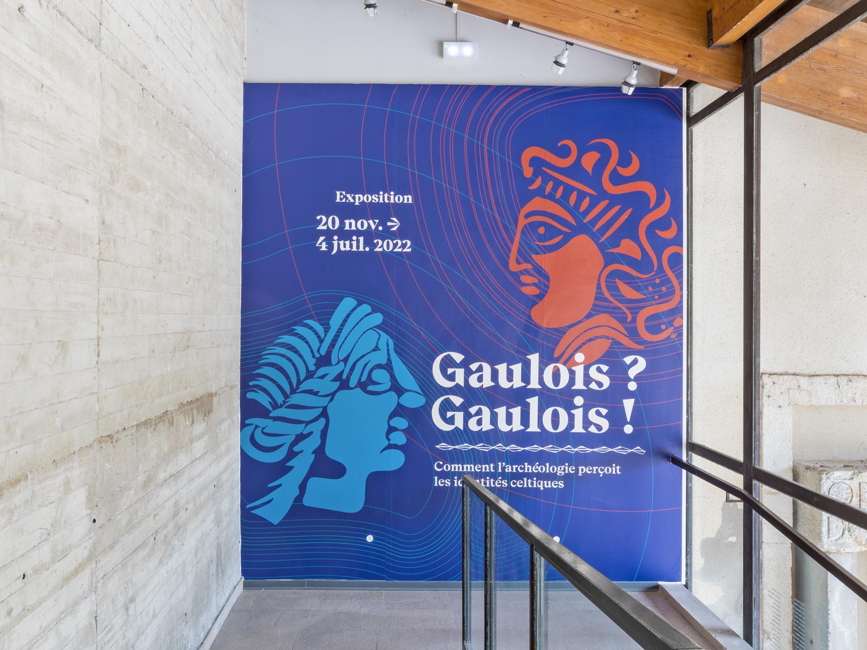 Gaulois_gaulois_exposition (1)